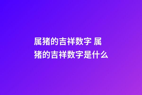 属猪的吉祥数字 属猪的吉祥数字是什么-第1张-观点-玄机派